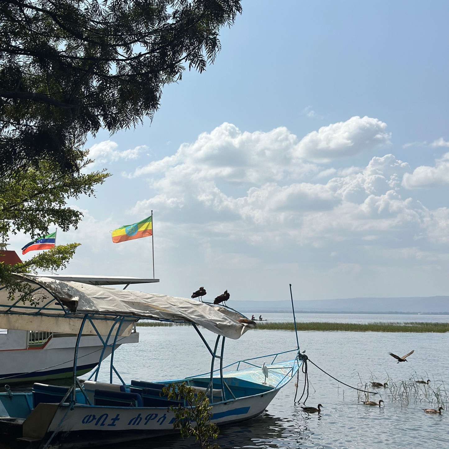 Etiyopya Kahve Hasadı Turu