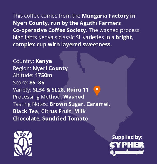 Kenya - Mungania AA-Washed