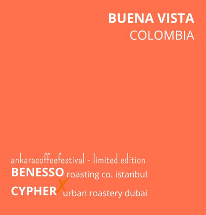 Buena Vista - Colombia