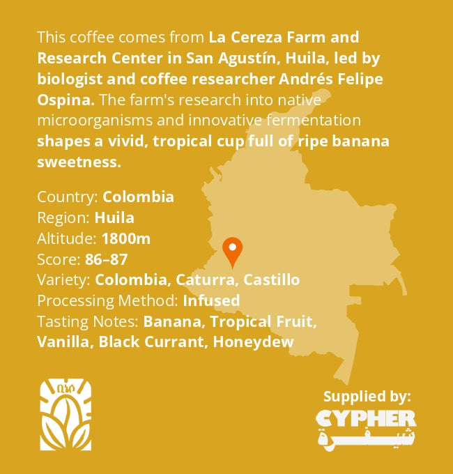 Colombia - El Paraiso Anaerobic Natural