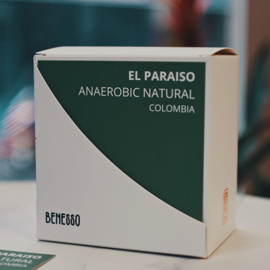 Benesso Colombia El Paraiso Anaerobic Natural kahve demleme ve servis videosu